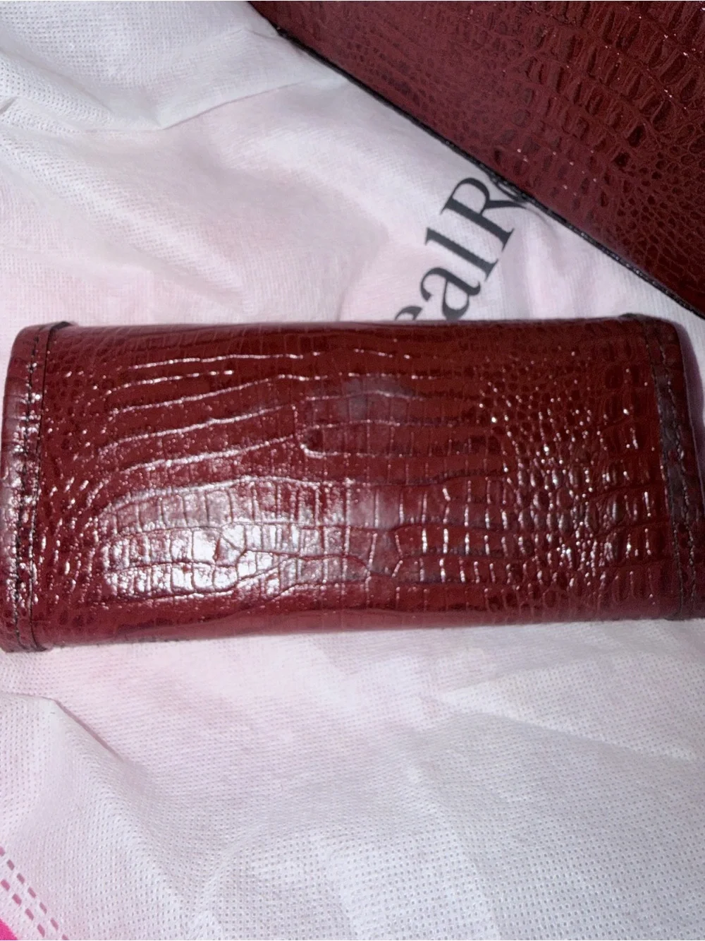 Nancy Gonzalez stylish real
